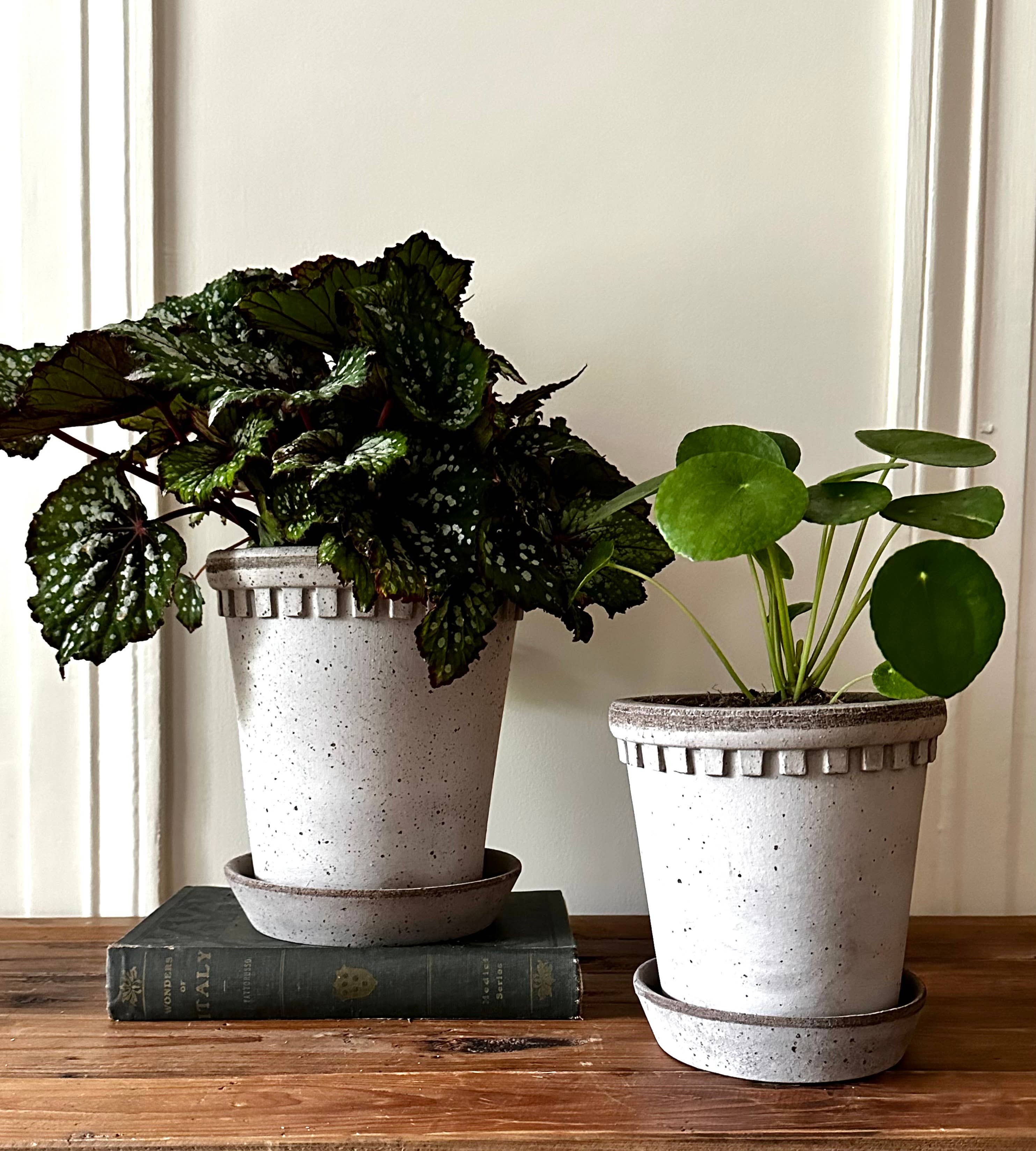 Coventry Pale Gray Terracotta Pot with Saucer - 7.5" x 8"