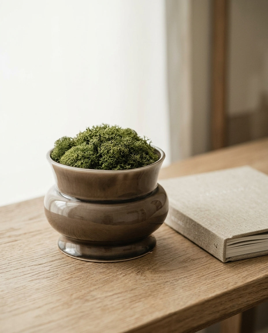 Ceramic pedestal pot — Elevated Lifestyle Scene | Generated by Modelize