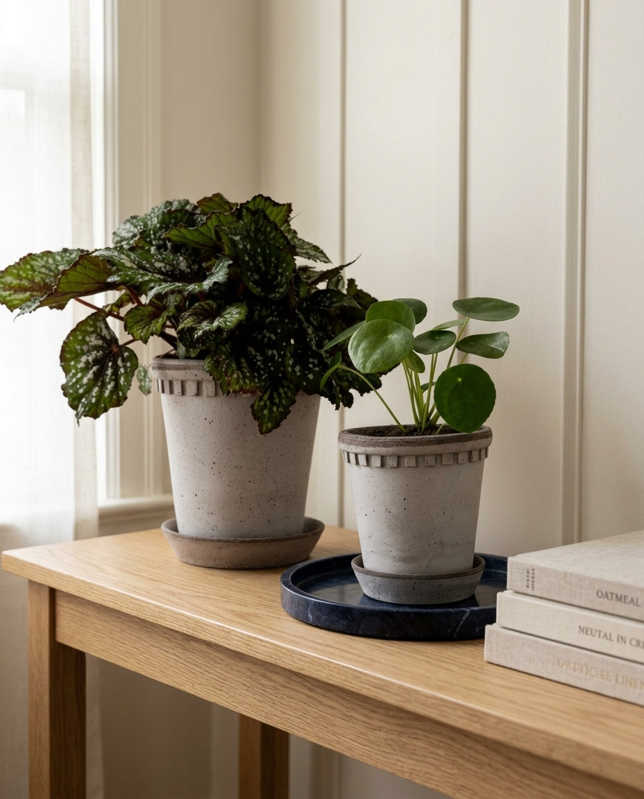 Terracotta planter pot with saucer — Elevated Lifestyle Scene | Generated by Modelize