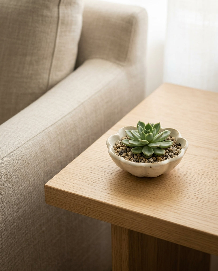 Small ceramic bowl — Living Room Lifestyle | Generated by Modelize