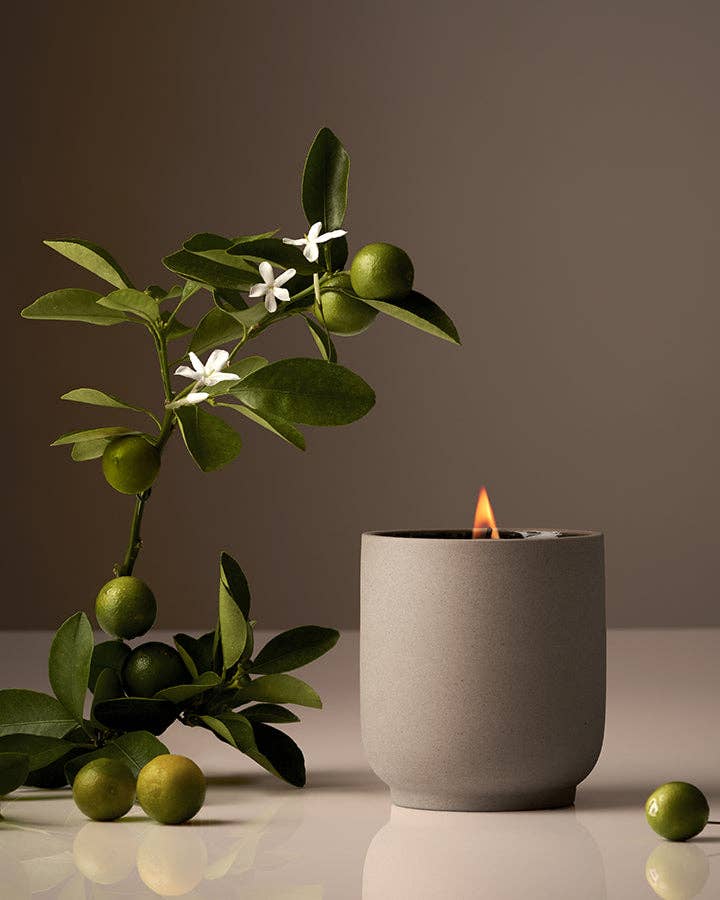 Homecourt Cece Signature Ceramic Scented Candle - 60 Hour Burn