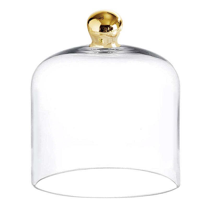 Medium Glass Cloche with Polished Gold Knob