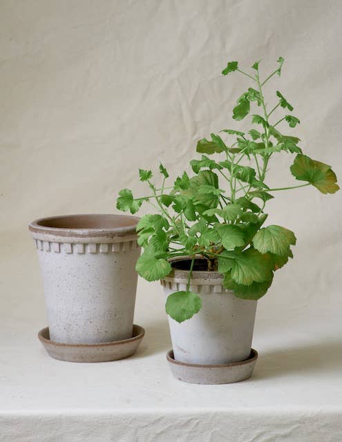 Coventry Pale Gray Terracotta Pot with Saucer - 7.5" x 8"