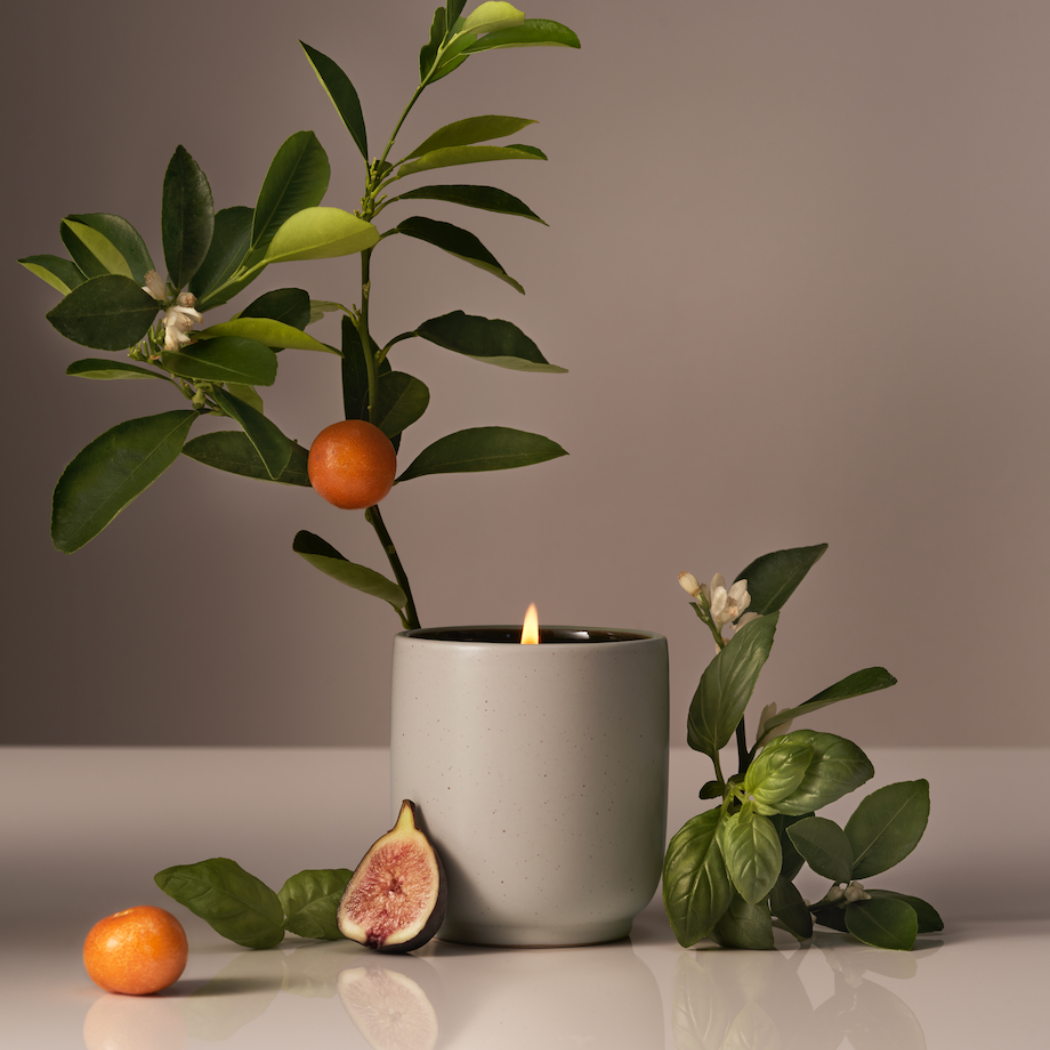 Homecourt Cece Signature Ceramic Scented Candle - 60 Hour Burn