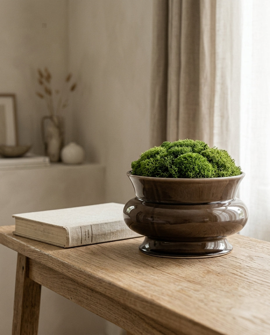 Ceramic decorative pot — Elevated Lifestyle Scene | Generated by Modelize