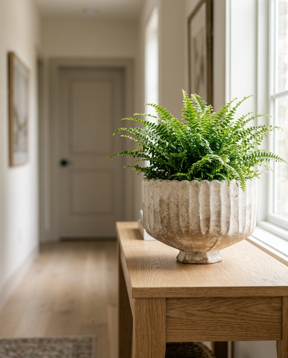 Footed Planter — Lifestyle Entryway Scene | Generated by Modelize